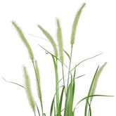 Modern artificial grass plant with lush green and white hues