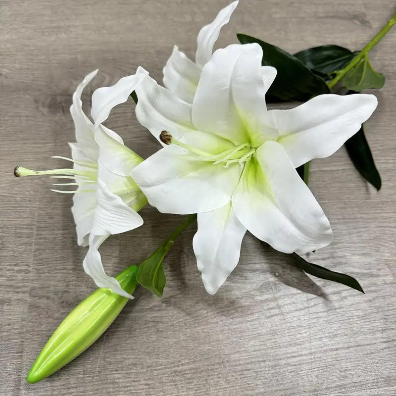 White lilies with green buds on a wooden surface