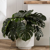 2 Ft Monstera 2 Bunch Artificial Plant (Without Pot) – styled for modern home interiors