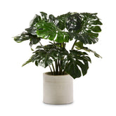 2 Ft Monstera 2 Bunch Artificial Plant (Without Pot) – tropical accent for home or office decor