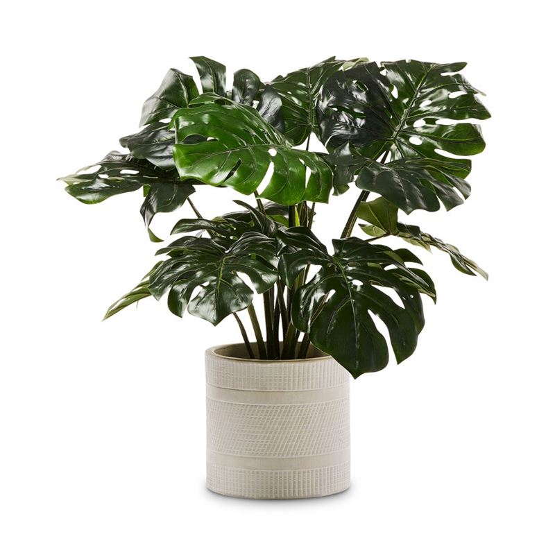 2 Ft Monstera 2 Bunch Artificial Plant (Without Pot) – tropical accent for home or office decor