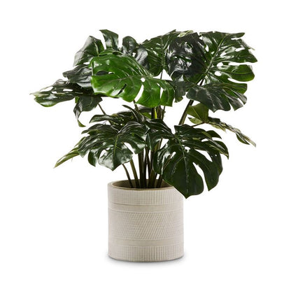 2 Ft Monstera 2 Bunch Artificial Plant (Without Pot) – tropical accent for home or office decor