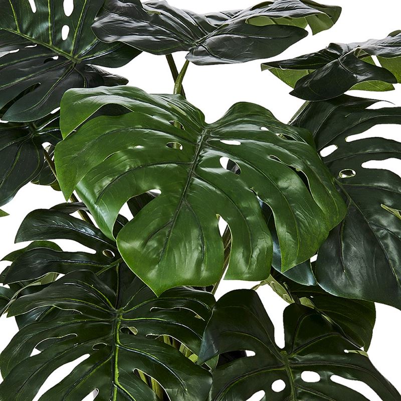 2 Ft Monstera 2 Bunch Artificial Plant (Without Pot) – artificial greenery with natural texture