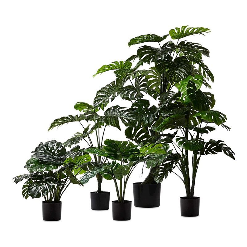 2 Ft Monstera 2 Bunch Artificial Plant (Without Pot) – full plant shot showcasing realistic foliage