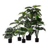 2 Ft Monstera 2 Bunch Artificial Plant (Without Pot) – full plant shot showcasing realistic foliage