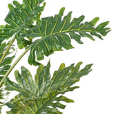 Soft-touch artificial philodendron plant, designed to bring effortless elegance to any setting.