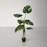 Decorative Faux Philodendron Plant for Elegant Indoor Spaces