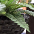 1 Ft Artificial Boston Fern Deluxe 45cm (bush) – lifelike tropical plant alternative