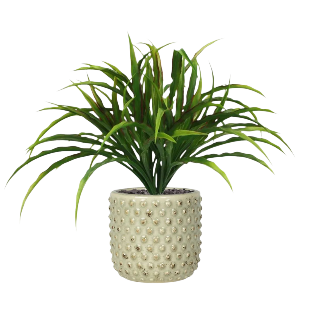 1 Ft Artificial Draceana 25 cm redgreen (bush) – perfect for modern home decor