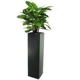 Decorative 2.5 Ft faux Calathea with bold pink and dark green leaves
