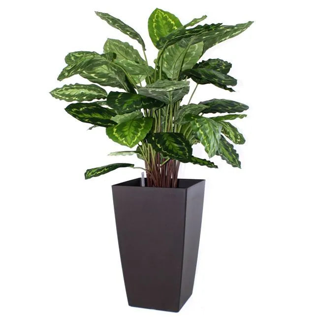 Exotic 2.5 Ft artificial Calathea with detailed leaf patterns and realistic texture
