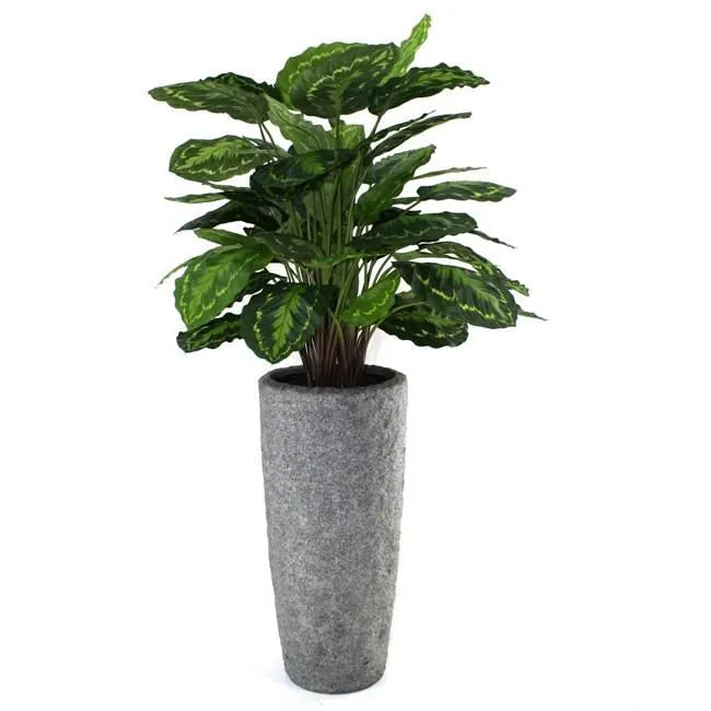 Vibrant 2.5 Ft faux pink-striped Calathea for home and office decor
