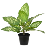1.5 Ft Artificial Dieffenbachia Zebra plant 25 cm (bush) – perfect for modern home decor