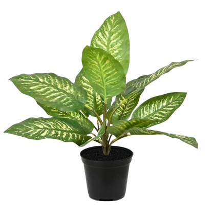 1.5 Ft Artificial Dieffenbachia Zebra plant 25 cm (bush) – perfect for modern home decor
