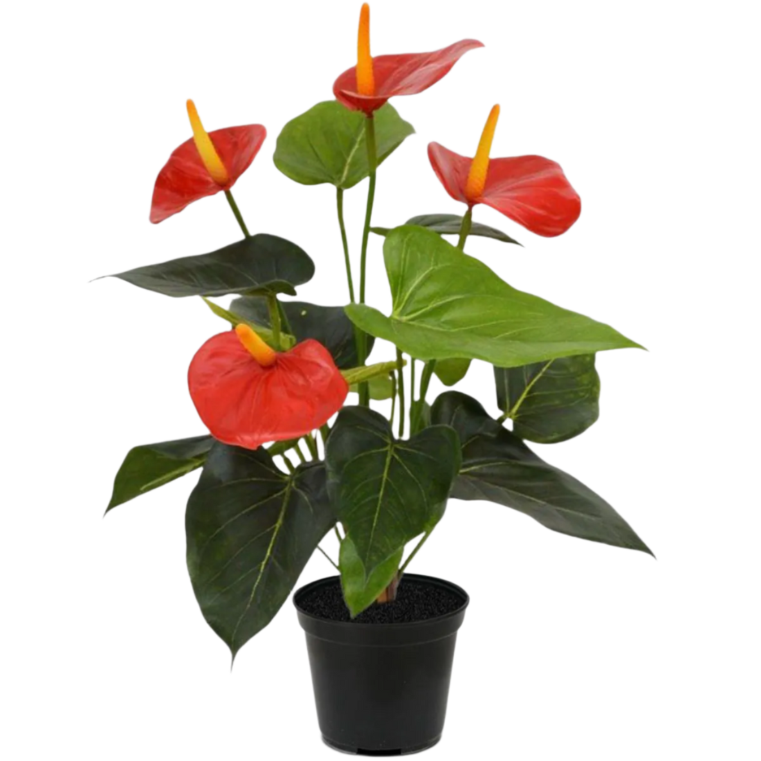 2 Ft Artificial Anthurium bush 40cm red – perfect for modern home decor