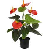 2 Ft Artificial Anthurium bush 40cm red – perfect for modern home decor