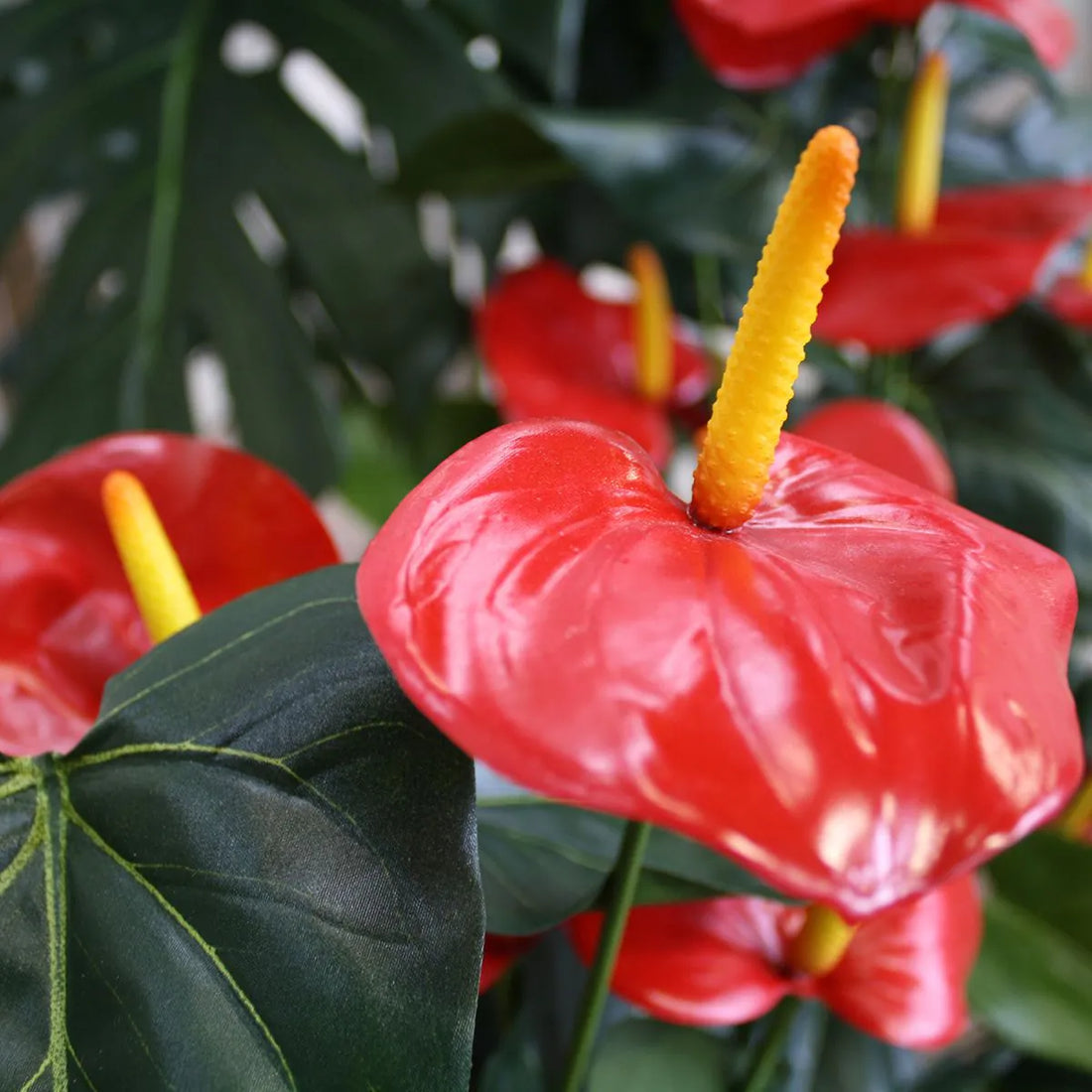 2 Ft Artificial Red Anthurium – Tropical Flower Plant – crafted for realistic tropical vibes