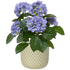 2 Ft Artificial Hortensia bush 40cm blue – perfect for modern home decor