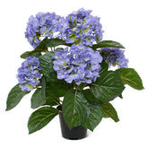 2 Ft Artificial Hortensia bush 40cm blue – lifelike tropical plant alternative