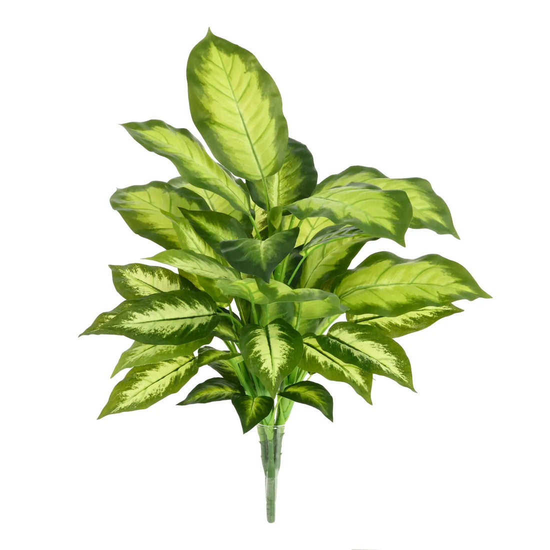 1.5 Ft Artificial Dieffenbachia Plant 55cm – ideal for indoor botanical themes