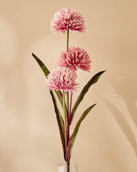Pink allium flowers in a clear vase against a beige background