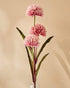 Pink allium flowers in a clear vase against a beige background