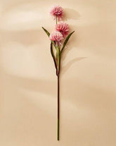Single stem of pink flowers on a beige background