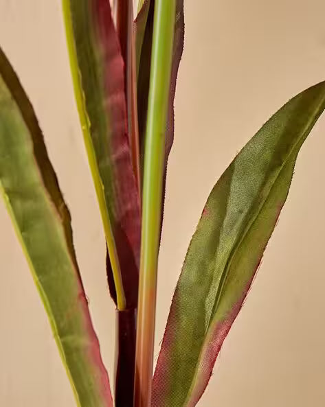 Close-up of green and red leaves on a beige background