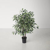 Elegant faux ficus tree with lush green leaves and subtle white accents, ideal for home or office decoration