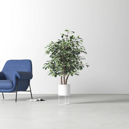 Maintenance-free artificial ficus tree with a natural look, suitable for both indoor and outdoor use