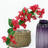 Red bougainvillea flowers in a woven basket and a purple vase on a white background