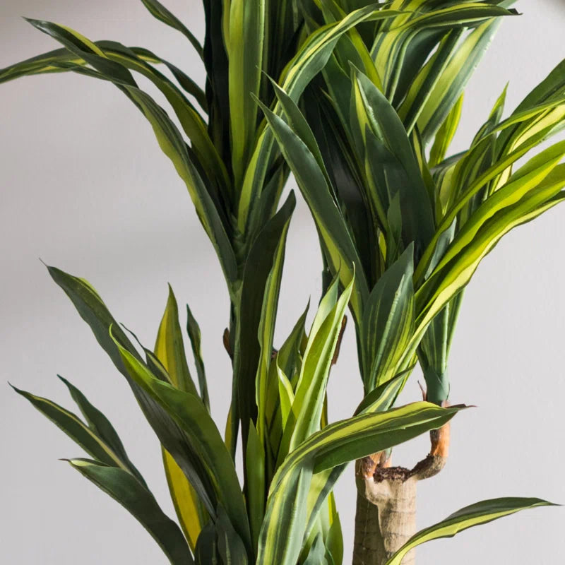 High-Quality Fabric Dracaena Plant 