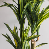 High-Quality Fabric Dracaena Plant 