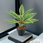 2 Ft Lifelike Simulated Green Plant Decoration: Artificial Tiger Tongue Fern – full plant shot showcasing realistic foliage