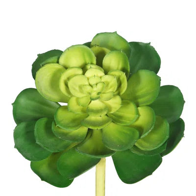 Faux Succulent Plants (Set of 12) – Mini Artificial Greenery for Home, Office, Terrariums &amp; DIY