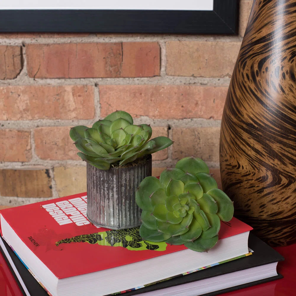 5 in. Faux Succulent Plant – Realistic Mini Artificial Greenery for Modern Home or Office