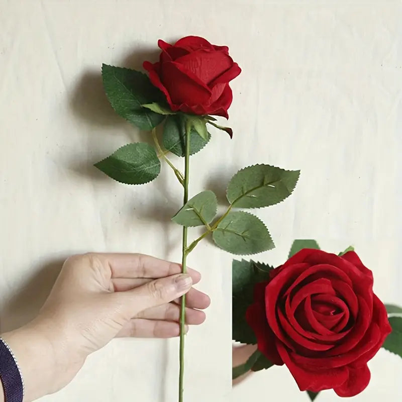 Red rose with green leaves held by a hand against a plain background