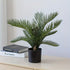 Vibrant 2 Ft artificial Fern with realistic foliage in a decorative pot
