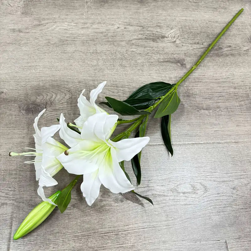 White lily flower on a wooden surface