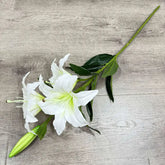 White lily flower on a wooden surface