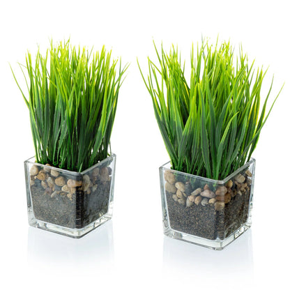 7 In. Faux Onion Grass in Glass Vase (Set of 2) – Artificial Greenery Décor for Home, Office &amp; Tabletop Displays