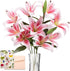 Bouquet of pink lilies in a clear vase with a decorative card and envelope on a white background