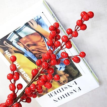 Red berry branch on a magazine with a blurred background