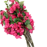 Bouquet of pink flowers with green leaves on a white background