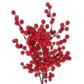 Bouquet of red berries on a white background