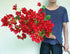 Person holding a large bouquet of red flowers against a light background