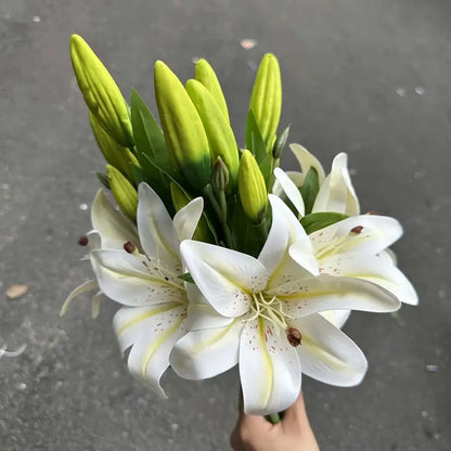 Bouquet of white lilies with green buds held against a dark background