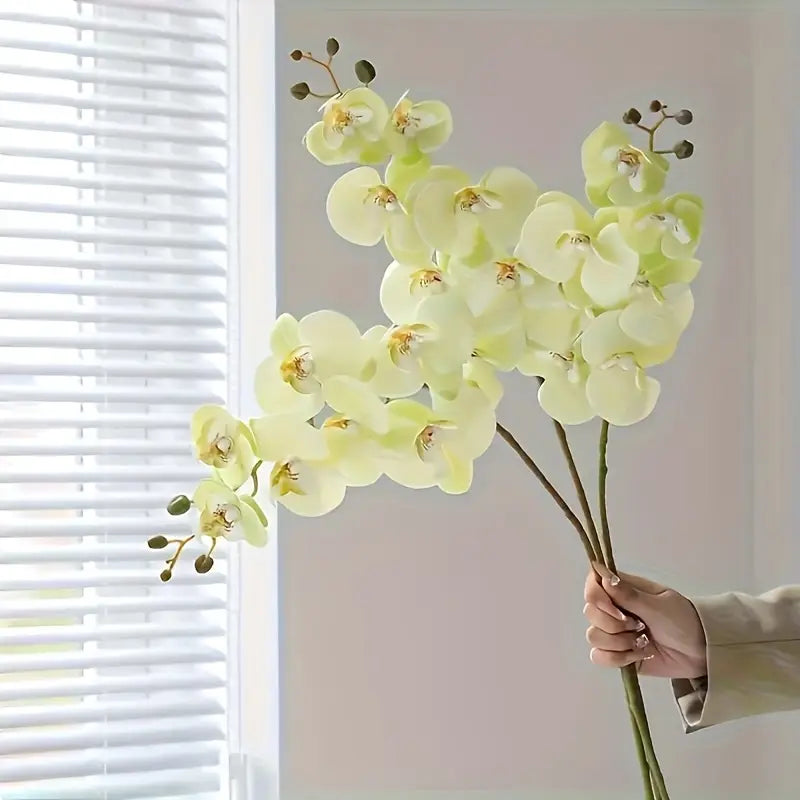 Hand holding a branch of light green orchids against a neutral background