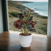 Elegant 2 Ft artificial flexible stem plant with natural-looking leaves
