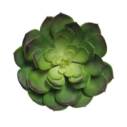 5 In. Large Artificial Echeveria Lotus Succulent – Realistic Faux Plant for Home, Office &amp; Terrarium